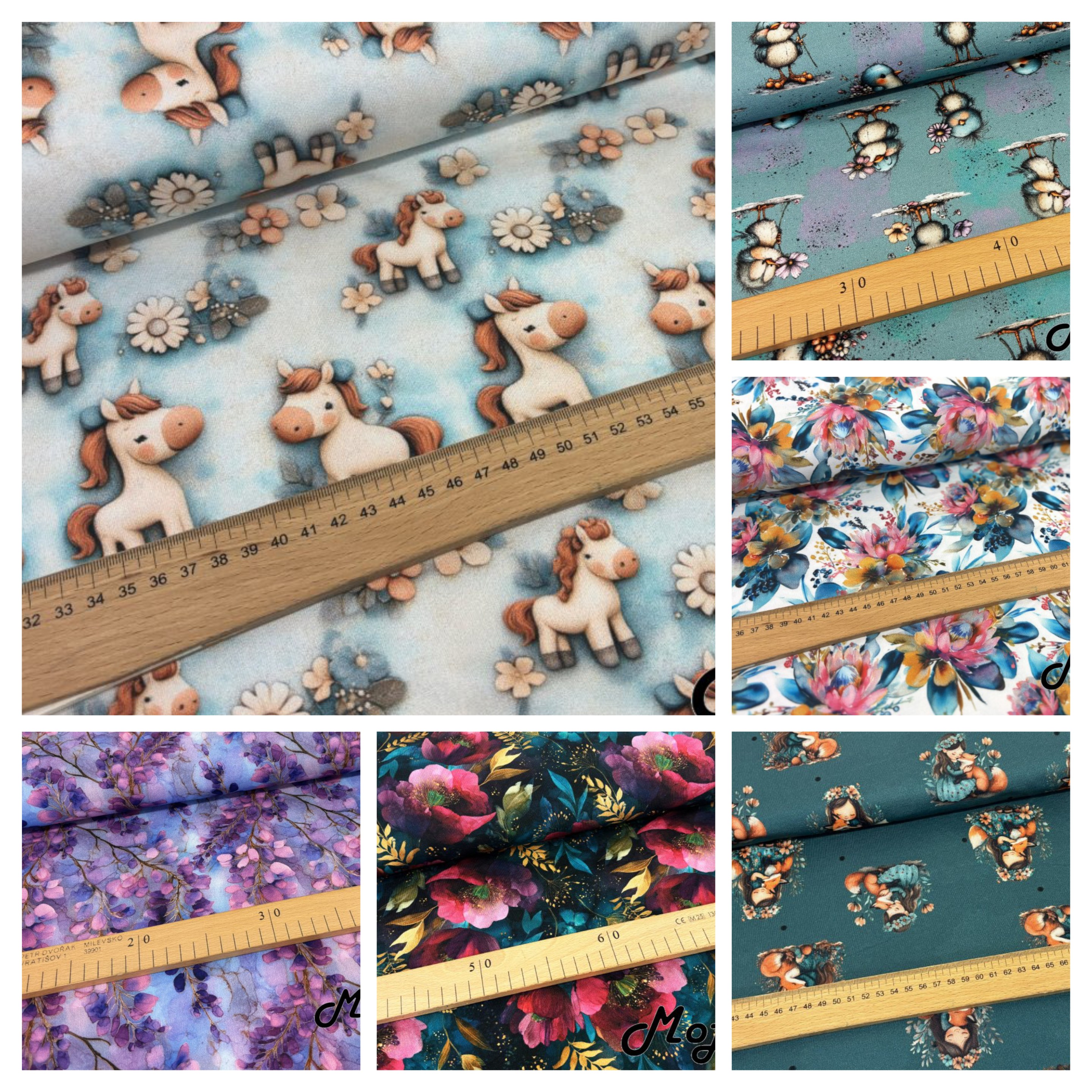 20260131_104309-COLLAGE